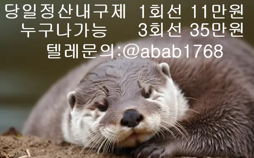 선불유심내구제 유심내구제 내구제 고액알바 급전 소액결제 소액대출 당일대출 비대면급전 가전내구제 상조내구제 (49).jpg