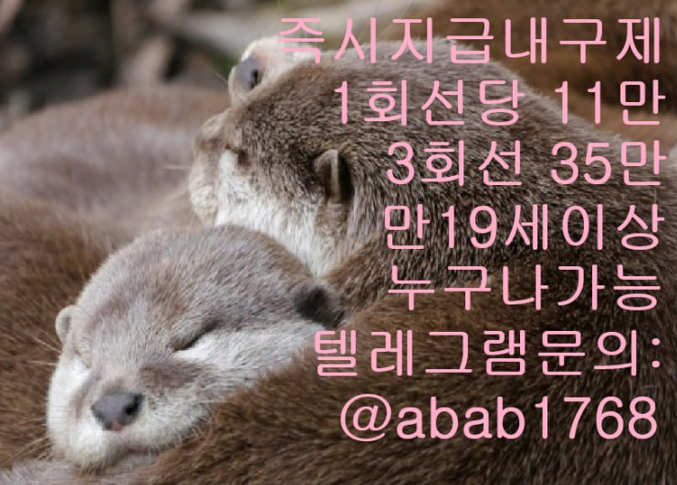 선불유심내구제 유심내구제 내구제 고액알바 급전 소액결제 소액대출 당일대출 비대면급전 가전내구제 상조내구제 (50).jpg