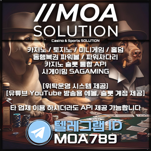 카지노솔루션.jpg